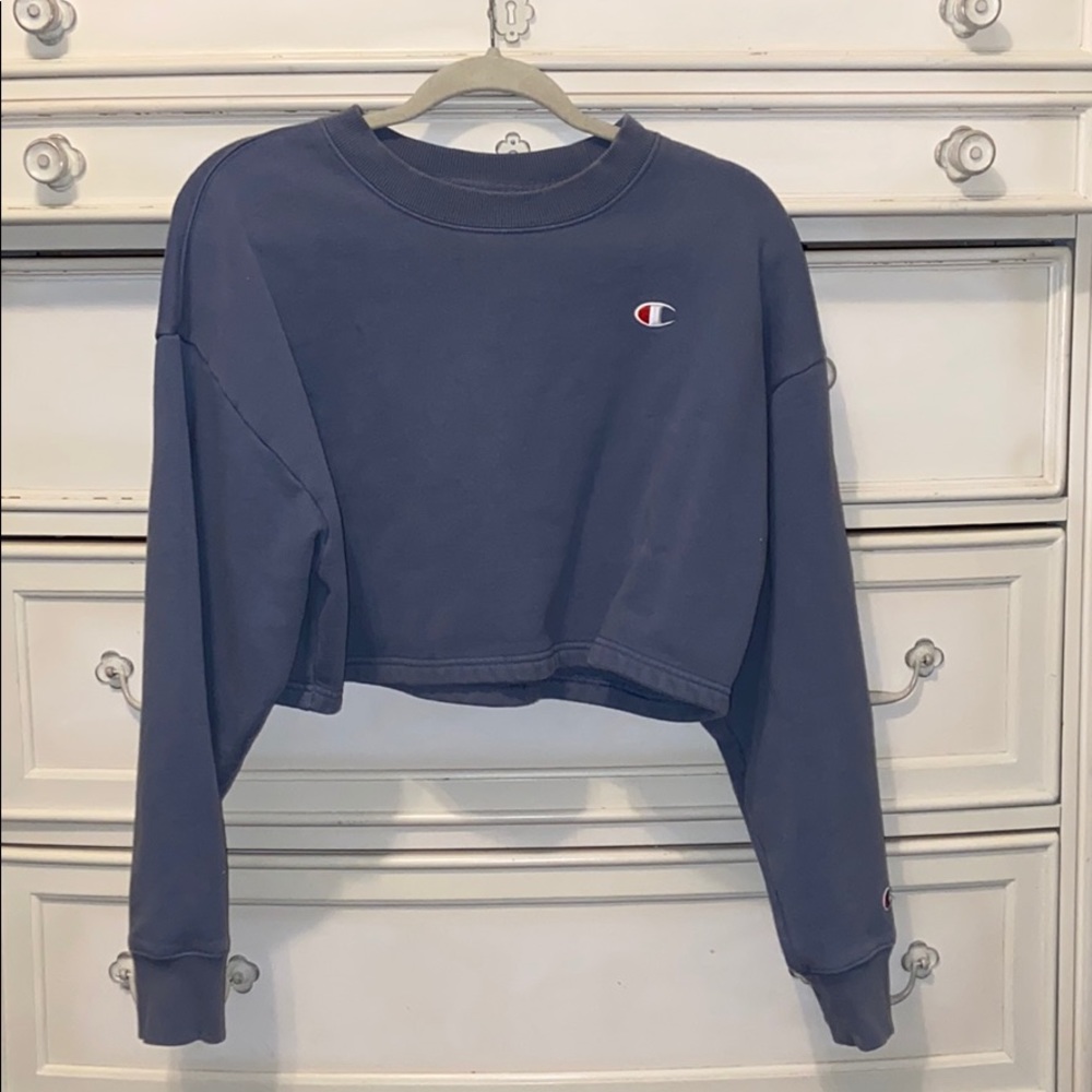 Champion Cropped Sweater